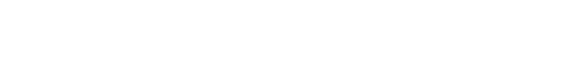 Persona